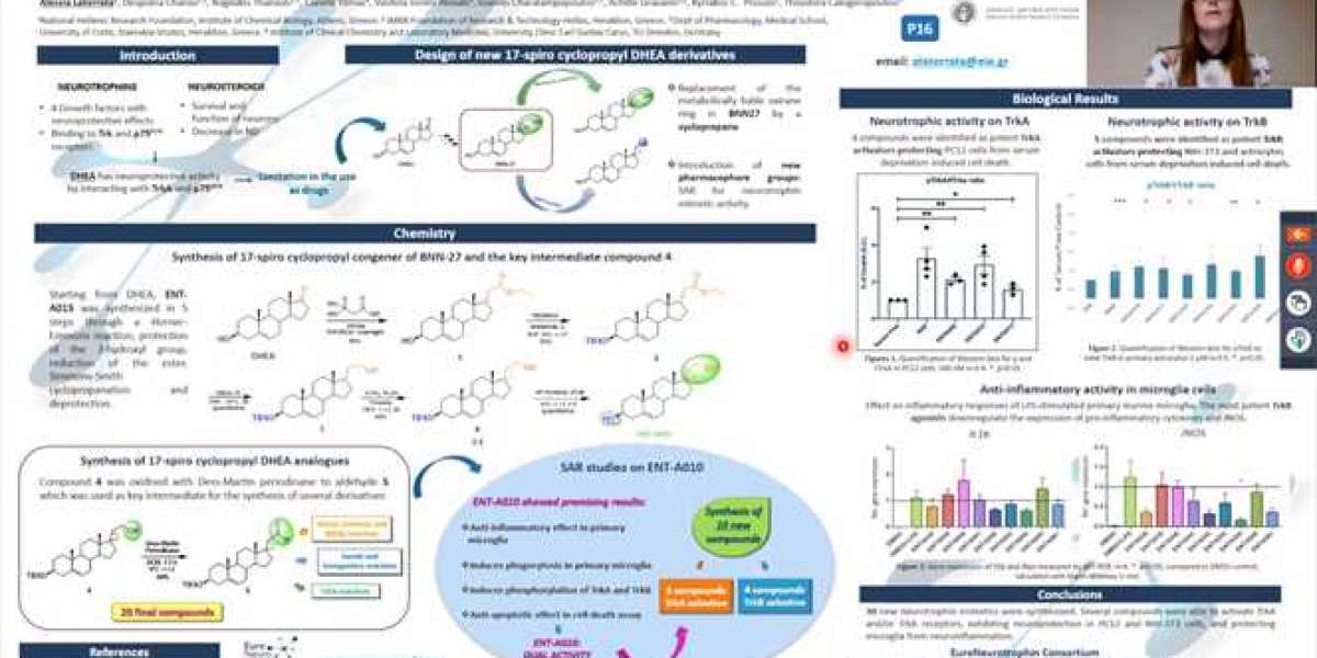 Torrent Drug Synthesis Process Windows Full Serial Exe