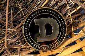 DogeCoin Millionaire Profile Picture