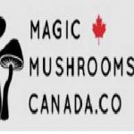 Magic Mushrooms Canada profile picture