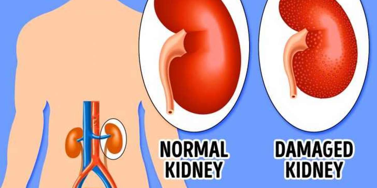 https://articlepedia.xyz/trim-clinical-keto/