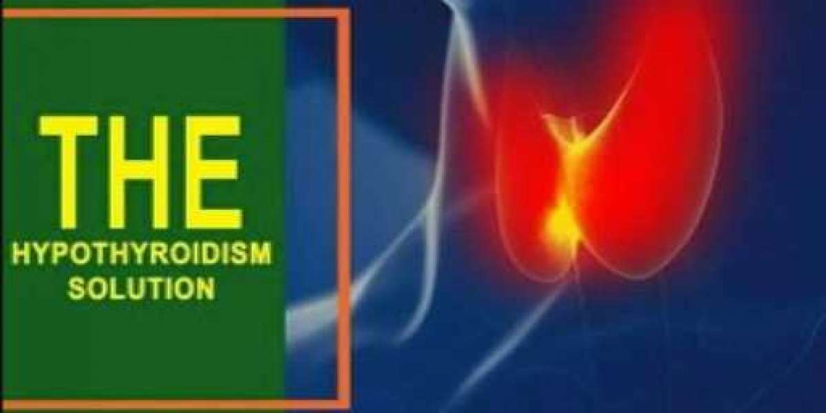 The Hypothyroidism Solution Reviews – Download Jodi Knapp PDF!