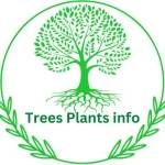 Trees plants info Profile Picture