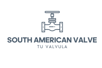 Check valve manufacturer in Brazil – South American Valve