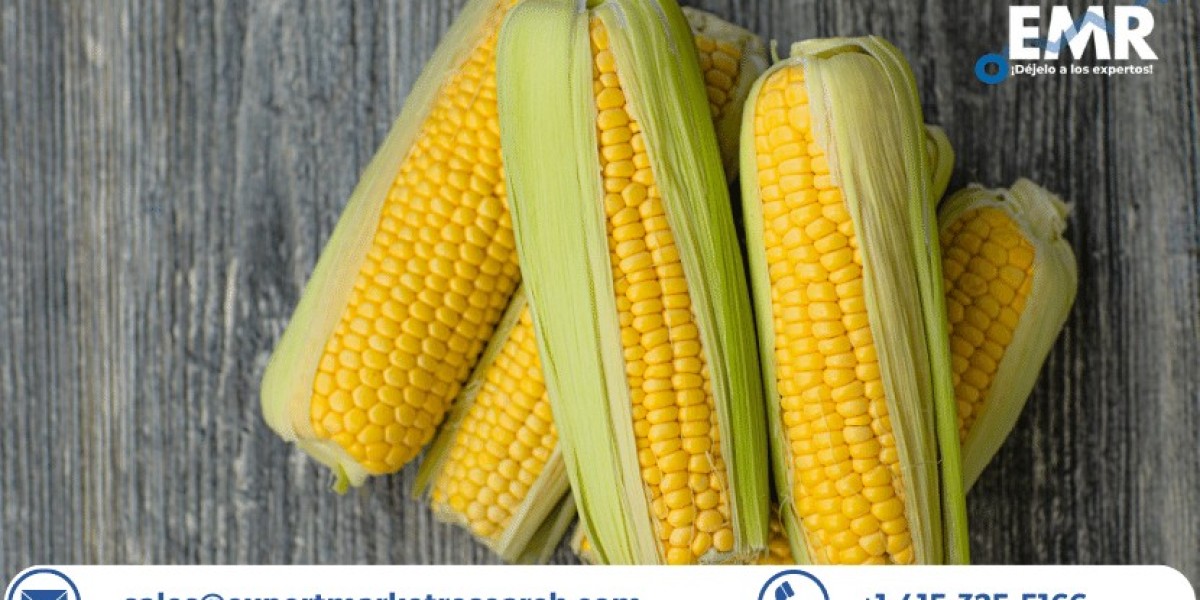 Corn Market Price, Trends, Growth, Analysis, Outlook, Report and Forecast 2023-2028