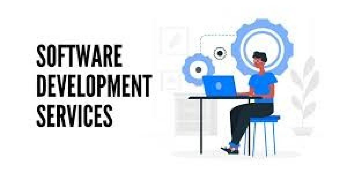 Software Development Company In Delhi