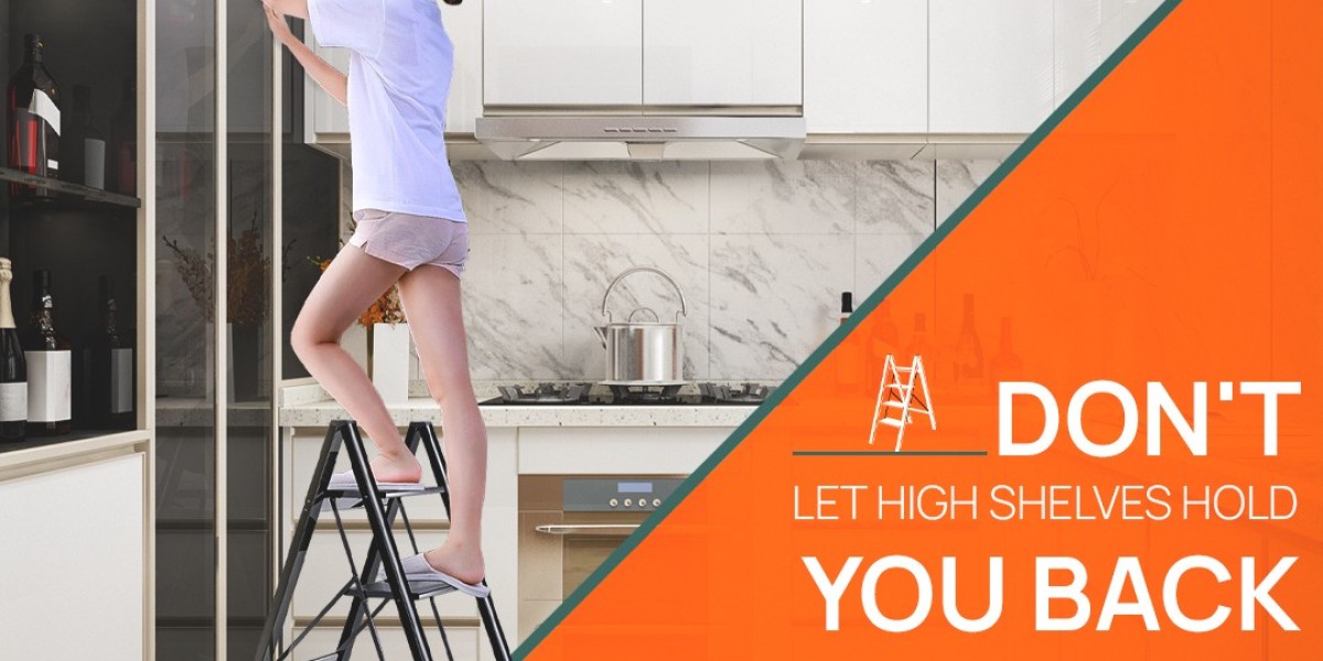 Top 3 ladders for Home Use in India