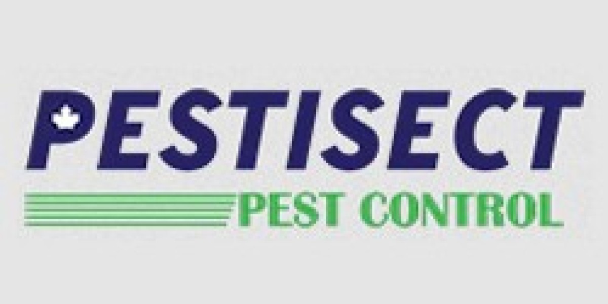 Pest Control Services in Brampton