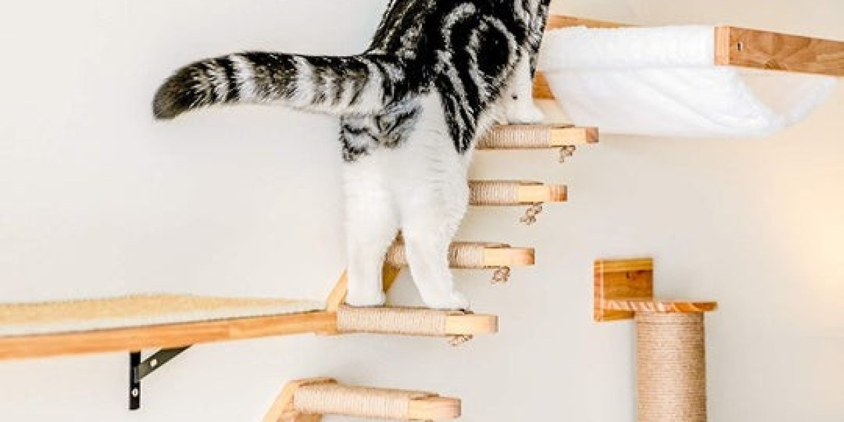 Why Cat Wall Shelves Are Good for Playtime and Saving Space