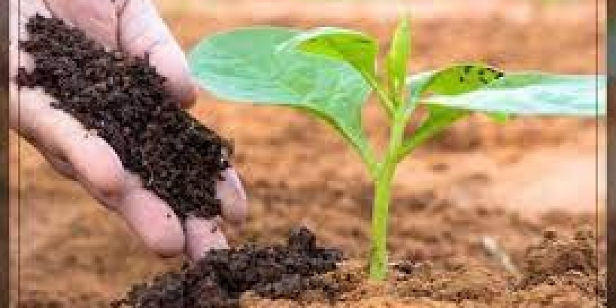 Soil Conditioners Market Overview 2030: Trends, Challenges, and Opportunities By Report.