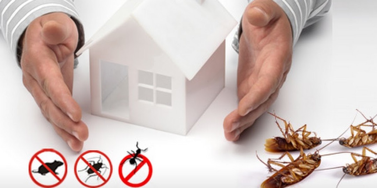 The Pest Control Solutions You Must Leave In the Hands of the Experts