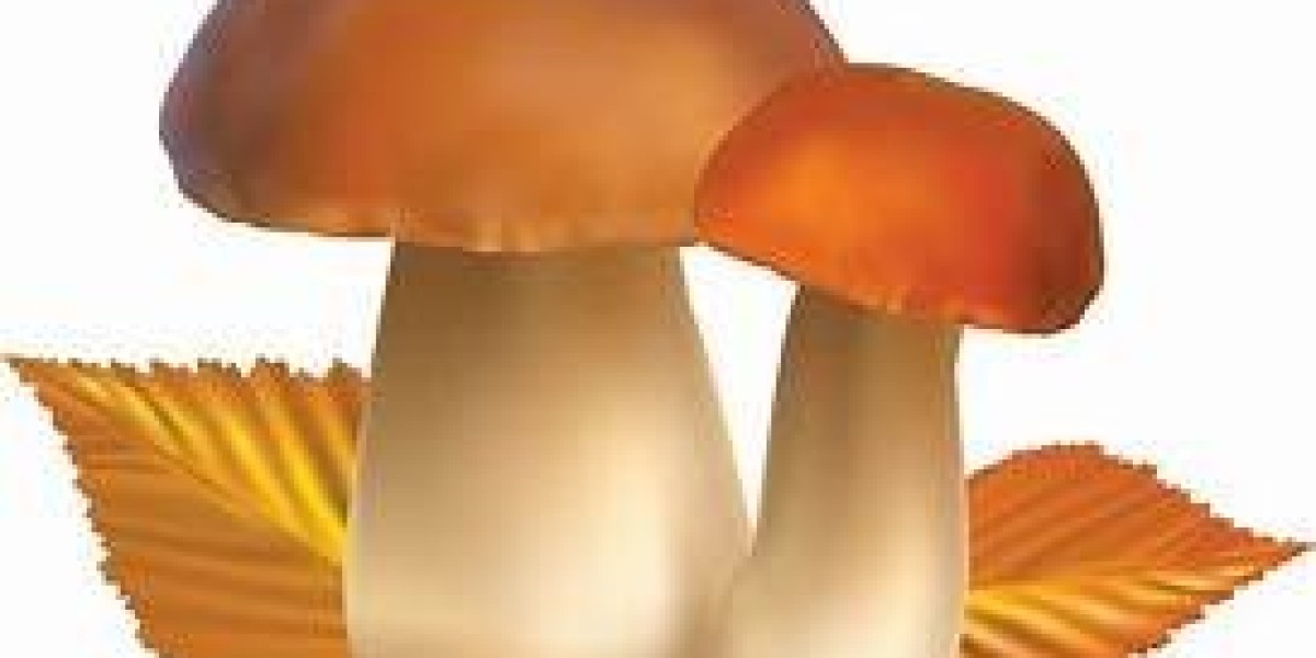 Buy Shroom Capsules Are Too Good to Be True? We Have News for You