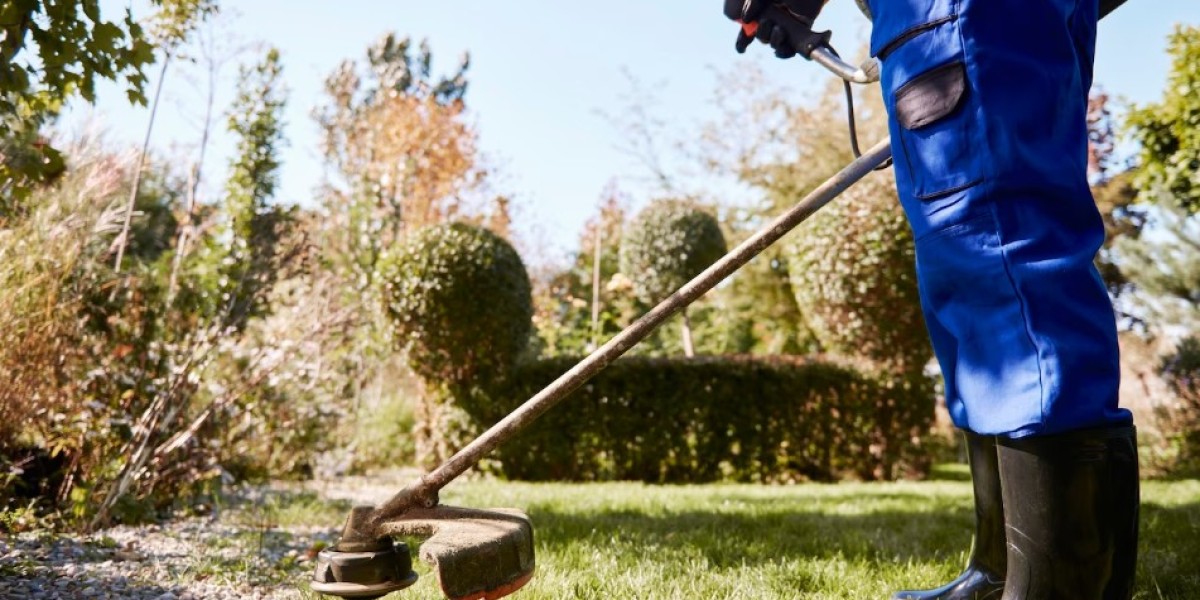 Nature's Makeover: 5 Ways to Keep Your Landscape Renovation Eco-Conscious