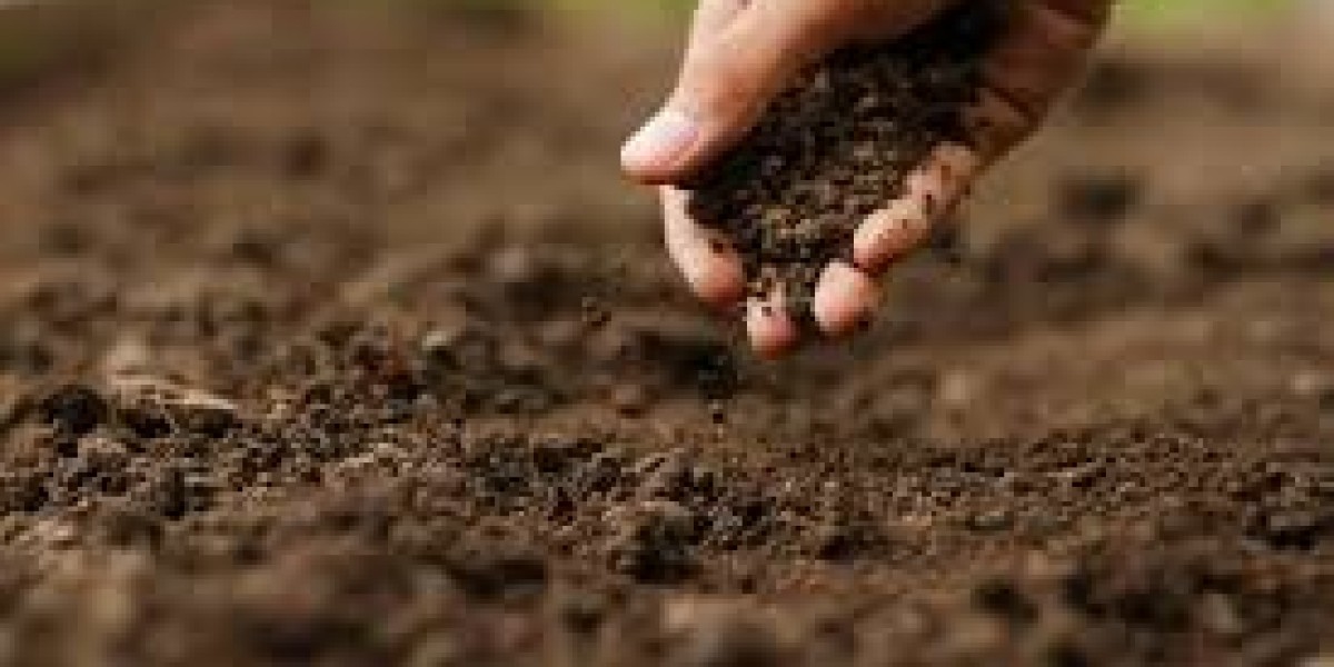 Soil Stabilization industry Share, Analysis, Growth, overview and forecast to 2032.