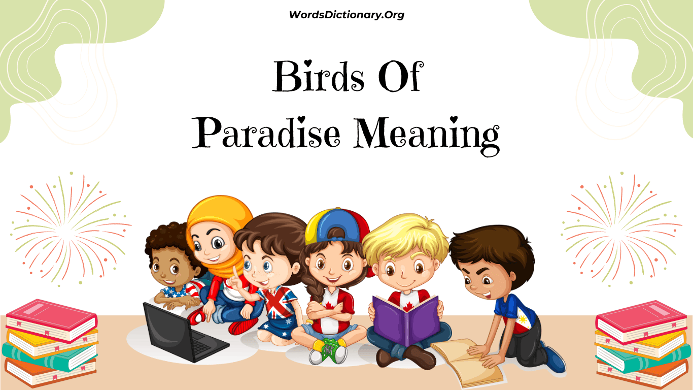 Birds Of Paradise Meaning | Definition, Emotions, and Examples
