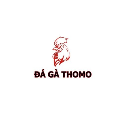 Thomo360net Profile Picture