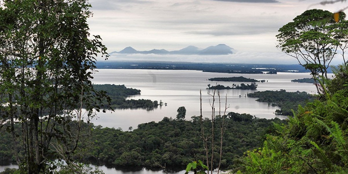 Rumah Terapung di Danau Sentarum: Pengalaman Tak Terlupakan di Kalimantan Barat