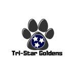 Tristar Goldens Profile Picture