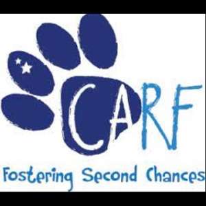 CARF Canada Dog Rescue Profile Picture