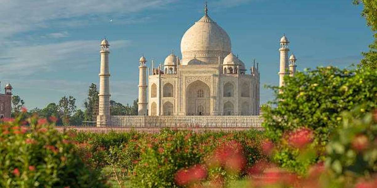 Agra Sightseeing Tour With Drive India By Yogi