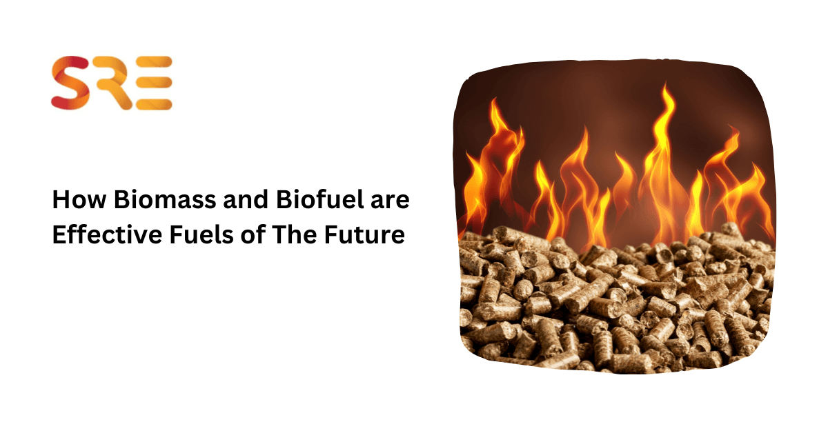 How Biomass and Biofuel are Effective Fuels of The Future | Shreeji Renewable Energies