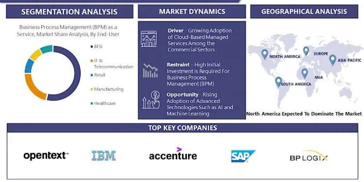 Business Process Management (BPM) as a Service Market Charting the Path to 2030: Market Insights and Growth