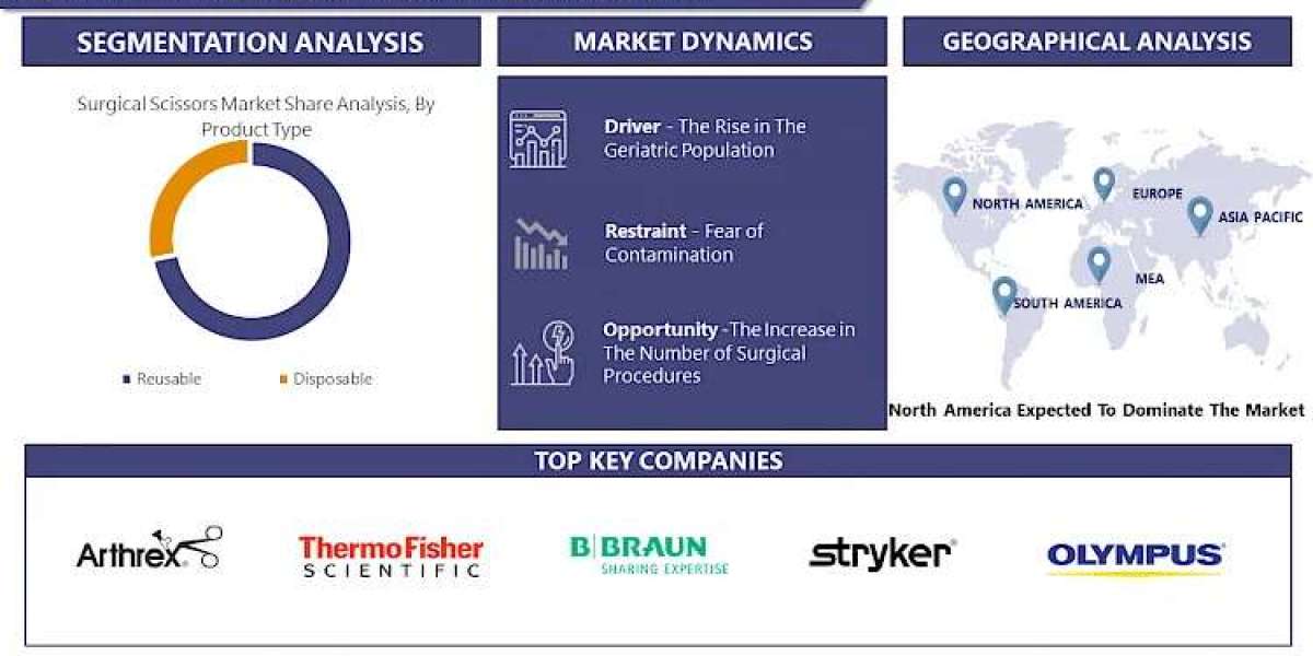 Surgical Scissors Market 2030 Report: Tracking Trends and Growth Status