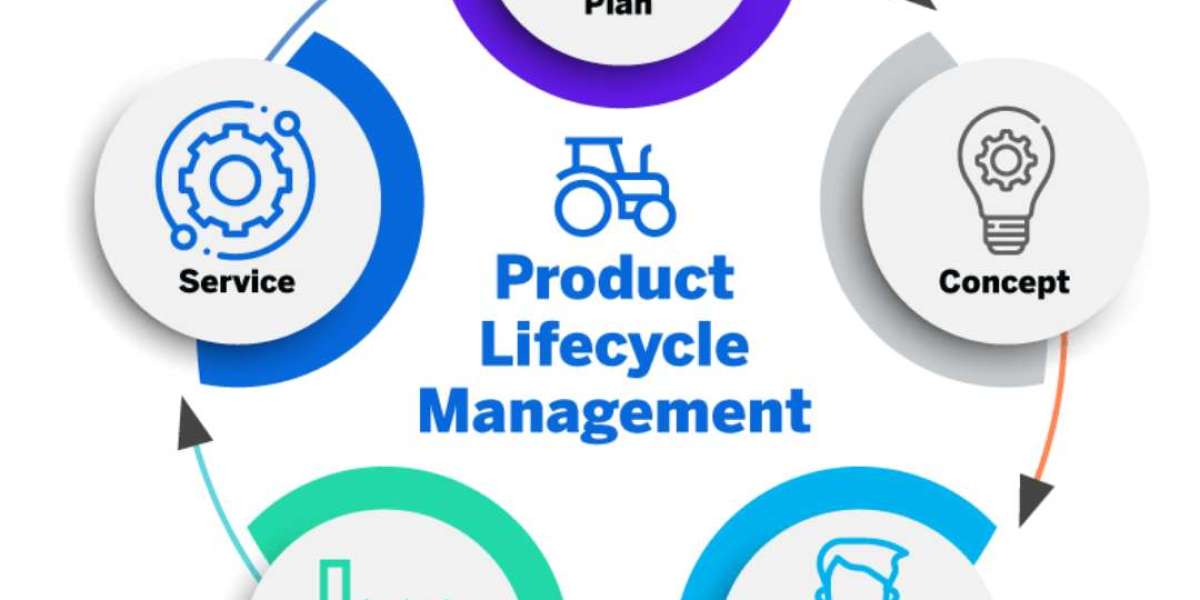 Sculpting Success: Mastering Retail Product Lifecycle Dynamics