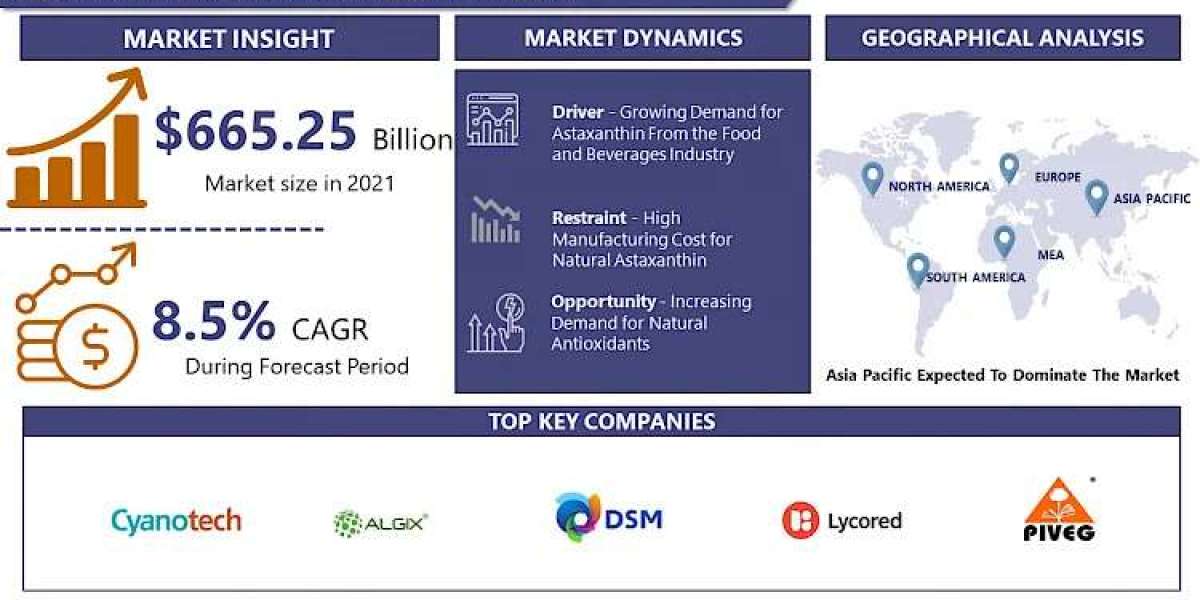 Astaxanthin Market Stay Informed with Our 2030 Market Trends Report