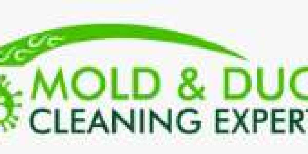 Mold Inspection in FL: Safeguarding Your Home and Health