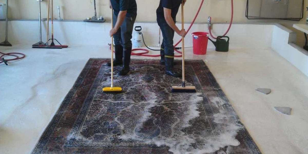 Carpet Care Chronicles: Expert Tips and Tricks