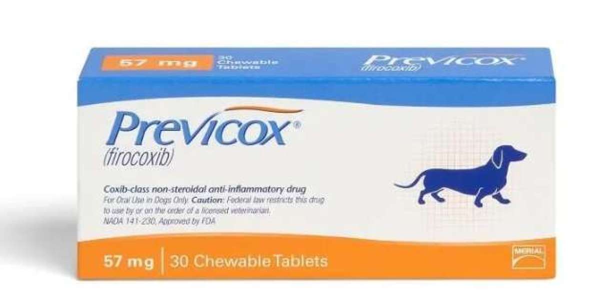 Comparative Analysis of Firocoxib and Traditional NSAIDs in Equine Medicine