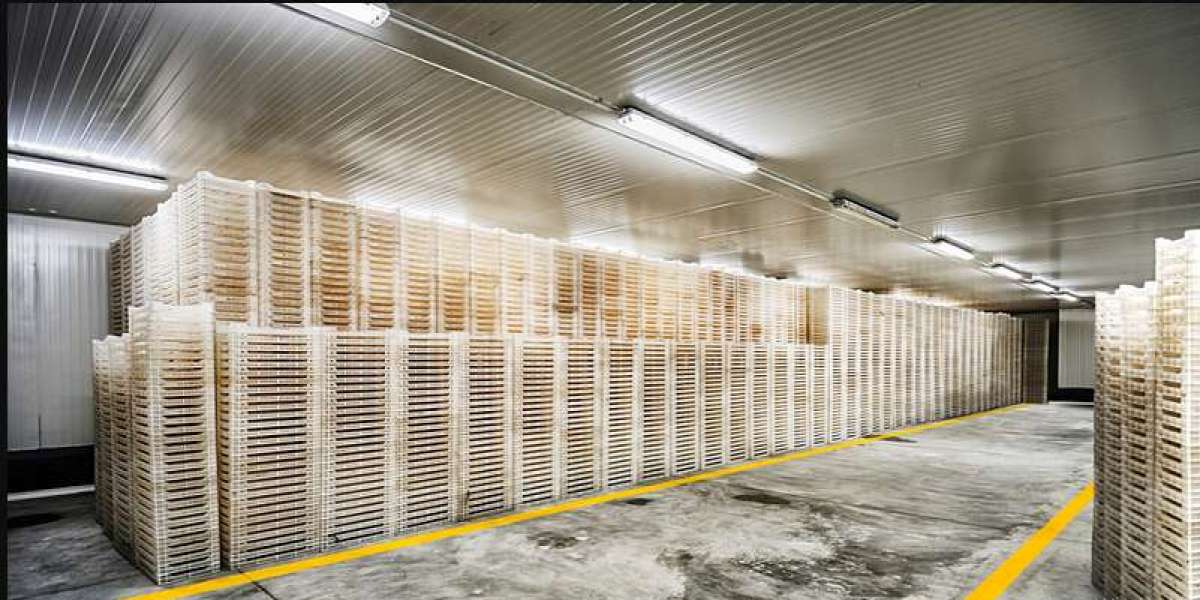 Cold Storage Construction Market Size, Analysis and Forecast 2023–2030