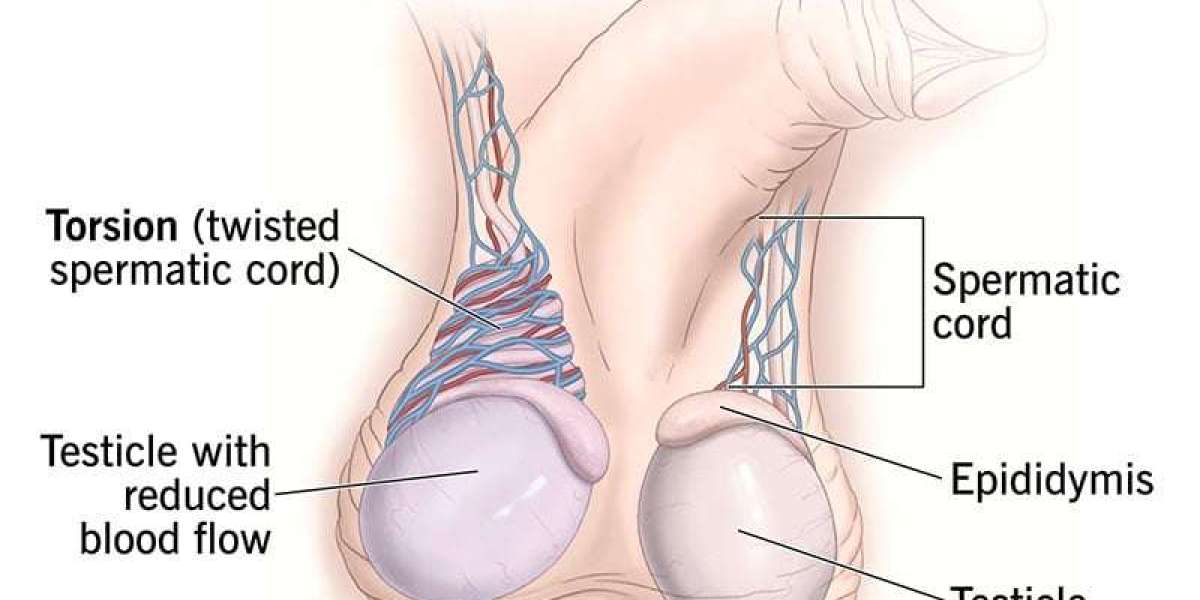 Complex Web of Male Infertility: Causes, Diagnosis, and Hope