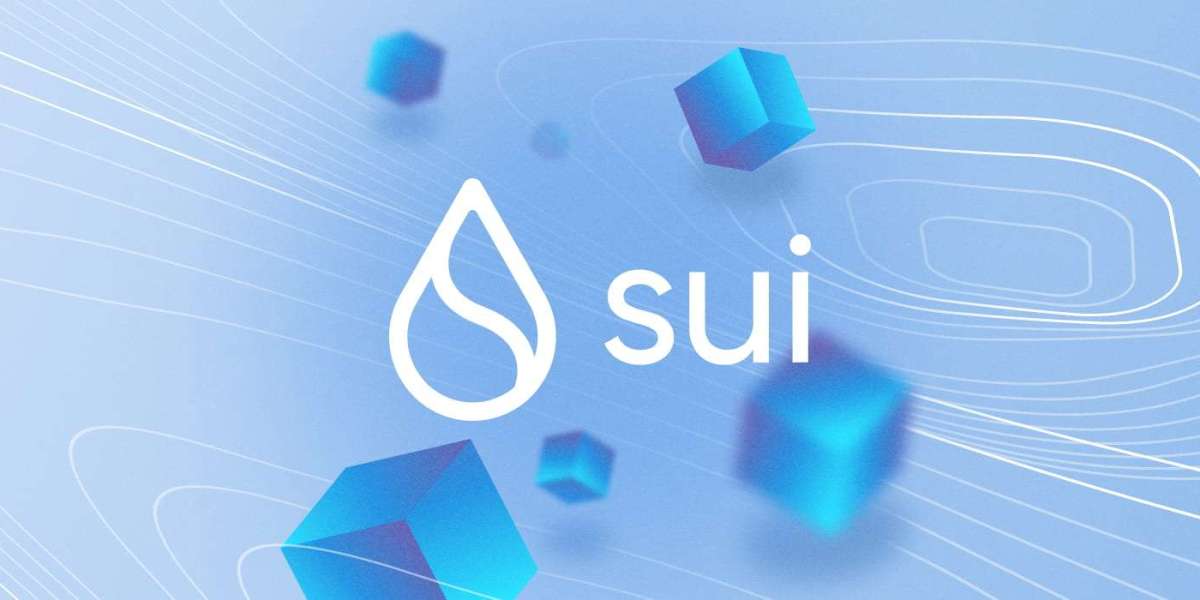 Unveiling SUI Token: A DeFi Enigma