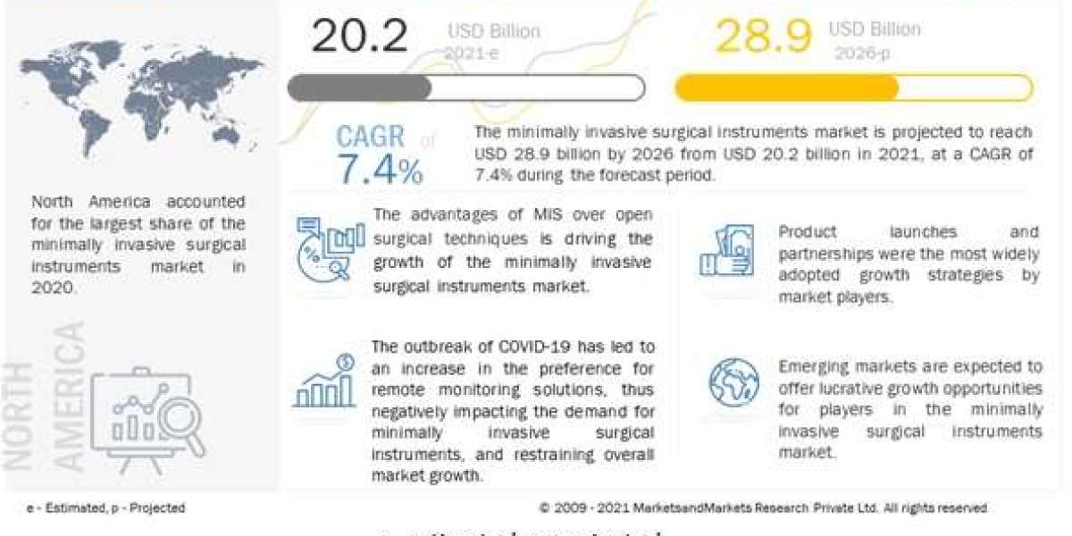 Minimally Invasive Surgical Instruments Market — Market Leader