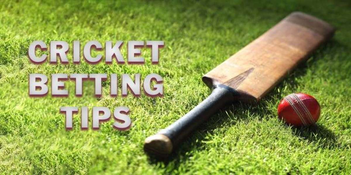 Unveiling the Triumphs of Online Cricket Betting