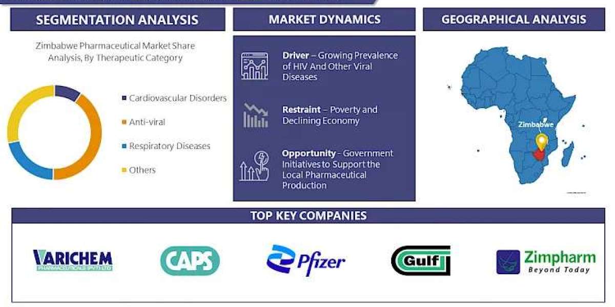 Zimbabwe Pharmaceutical Market Forecast 2030: Exploring Growth and Share