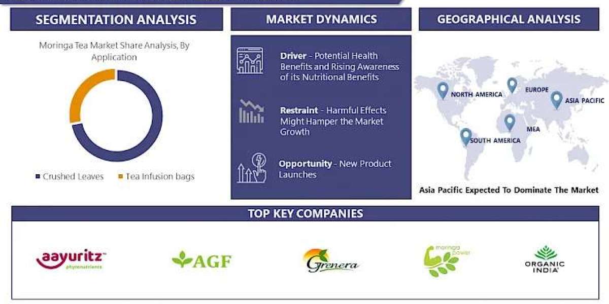 Moringa Tea Market Unlocking Trends: Size, Share, and Growth by 2030