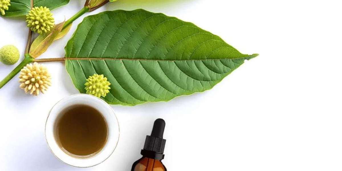 Unlocking Tranquility: The Best Noble Kava Capsules from Purkratom Available Online