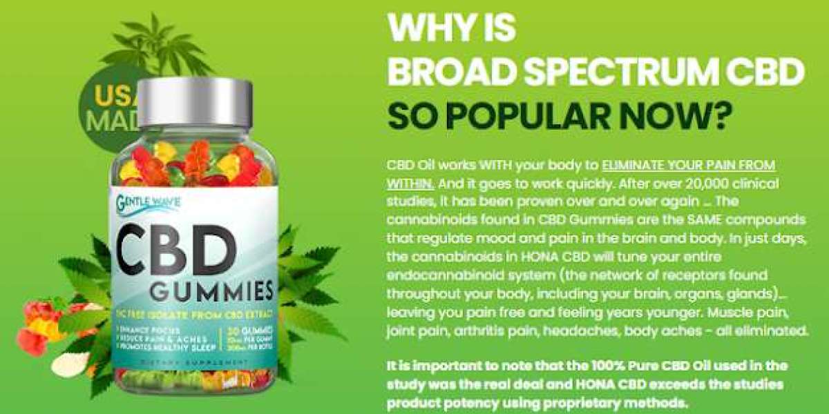 https://sites.google.com/view/natural-bliss-cbd-gummies-fo/home