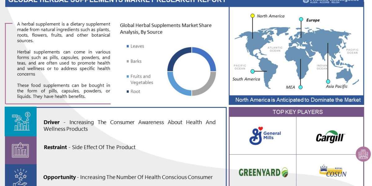 A Deep Dive into the Herbal Supplements Market Current Landscape and Future Trends (2023-2030)