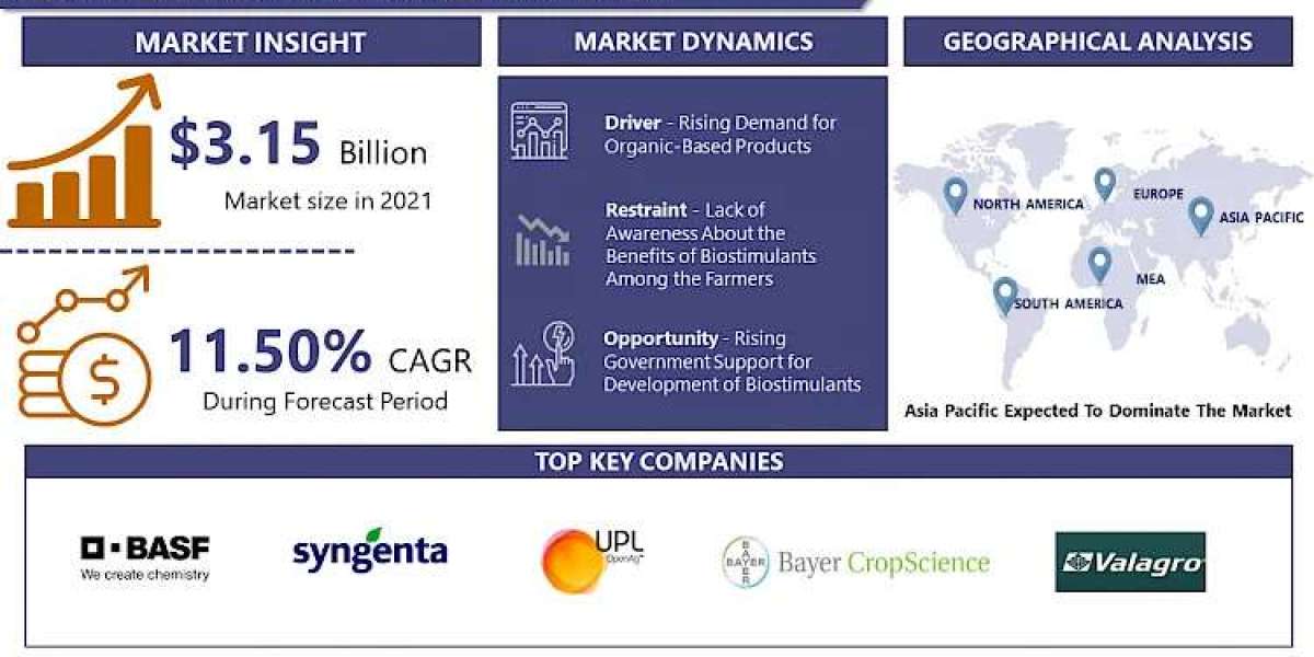 Biostimulants Market Navigating the Market Landscape: Size, Growth, and Share