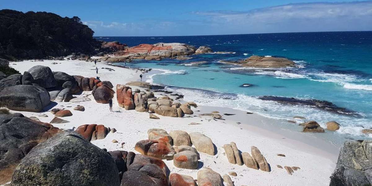 "Discovering Tasmania's Coastal Gem: A Journey through Wineglass Bay and Freycinet"