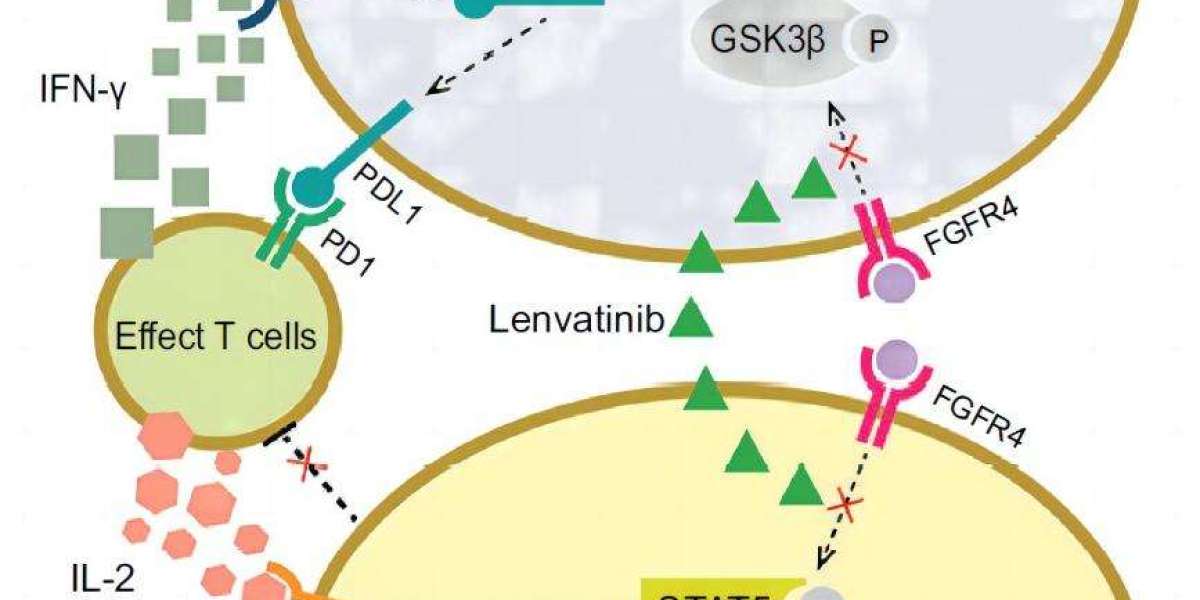 From Molecule to Miracle: The Story of Lenvatinib Mesylate API and its Fight Against Cancer