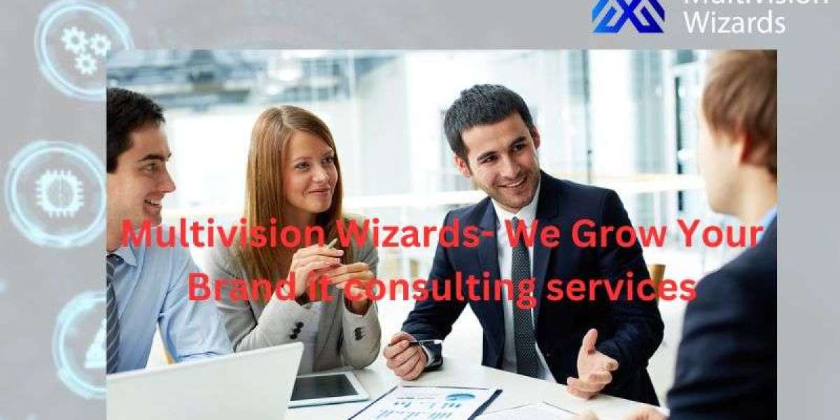 Multivision Wizards- We Grow Your Brand it consulting services