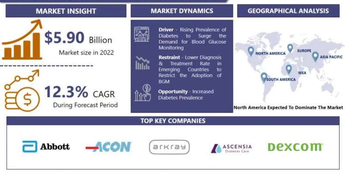 Continuous Blood Glucose Monitoring Market 2030 Report: Tracking Trends and Growth Status