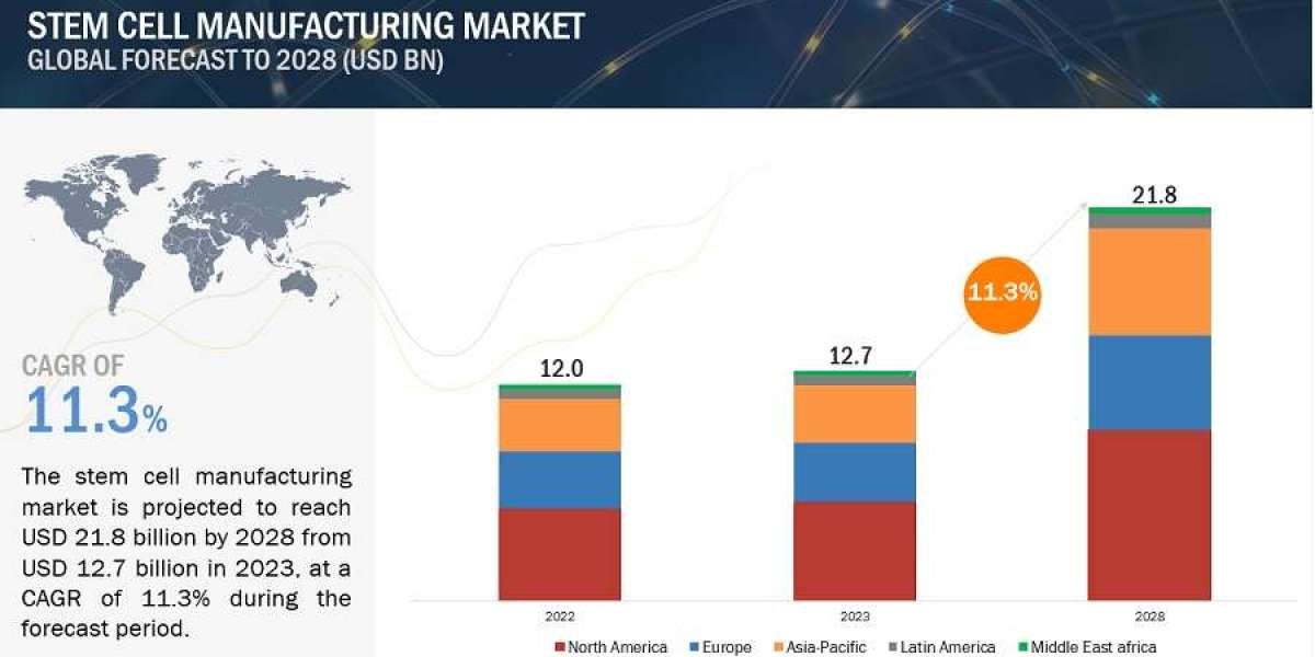 Stem Cell Manufacturing Market Key Players, Size, Share, Growth Rate and Forecasts to 2028