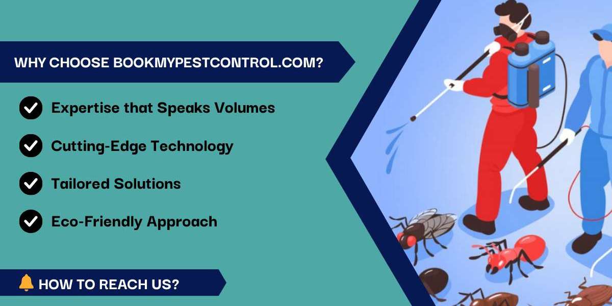 Effective Pest Control Solutions in Mumbai