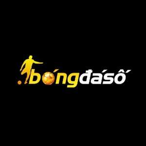 Bongdaso Profile Picture