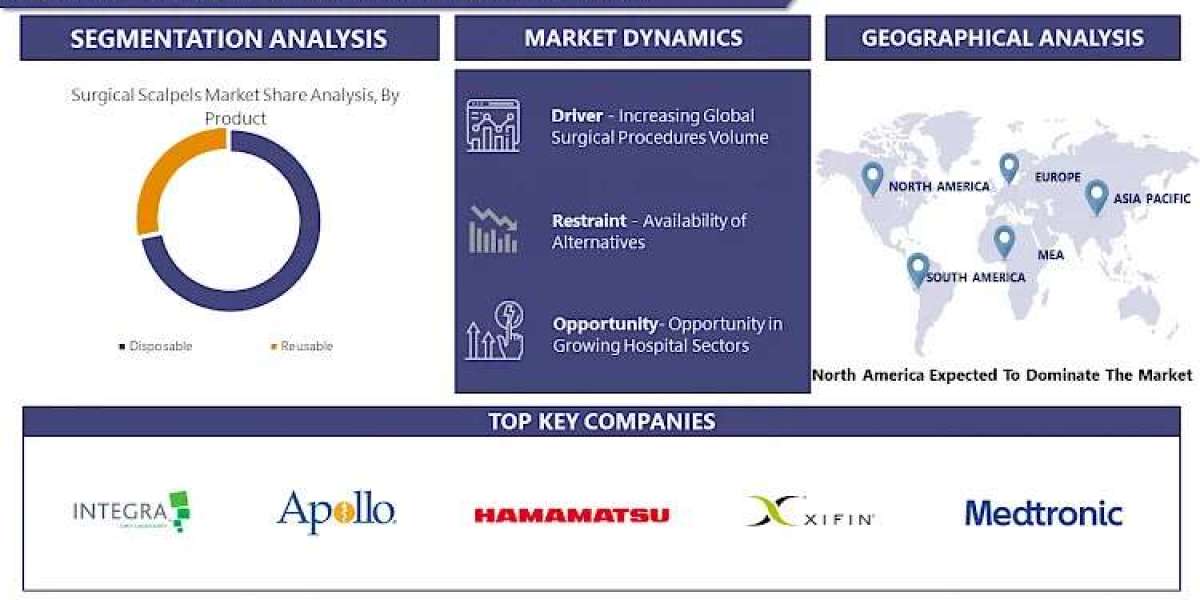 Surgical Scalpels Market Charting the Path to 2030: Market Insights and Growth